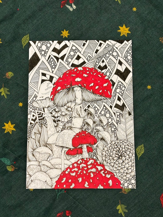 Amazon.com: Zentangle Art: A Mushroom World: Dive into a