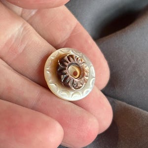 Può includere: Un bottone rotondo caratterizzato da una base piatta in madreperla iridescente color bianco sporco con un motivo a bordo smerlato. Al centro della base si trova un elemento circolare più piccolo, rialzato, marrone scuro con un design a petali intagliato e un foro.
