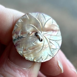 May include: A round, iridescent mother-of-pearl button featuring a carved floral leaf pattern across its surface. The button has a central shank attachment point and displays a natural, shimmering finish with subtle light-reflecting tones.