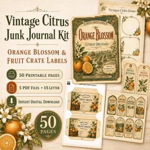 Puede incluir: Un kit de diario creativo Vintage Citrus con 50 páginas imprimibles en 5 archivos PDF. El kit incluye etiquetas de azahar y cajas de fruta, etiquetas decorativas y marcos con ilustraciones botánicas de naranjas sobre un fondo crema.