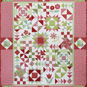 Apple Blossom Sampler Quilt PDF Pattern by Emma Jean Jansen - Immediate Download