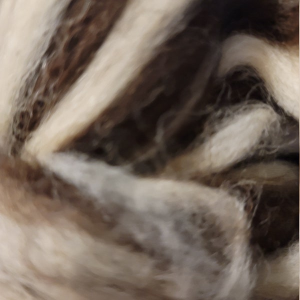 Corriedale Swirl Roving  4 oz