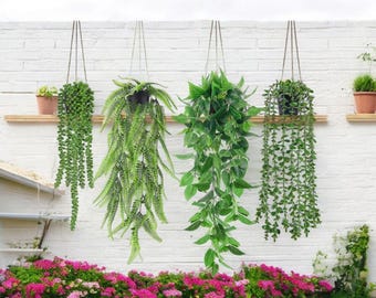 Boho Hanging Faux Plants Set with Pots – Artificial Ivy Vine, Eucalyptus, Boston Fern & String of Pearls Wall Decor for Bedroom Living Room