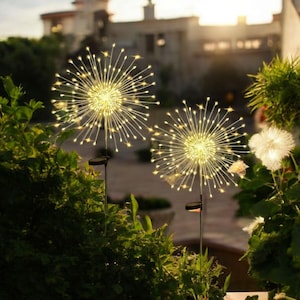 May include: Two solar-powered garden lights with a firework-like design. Each light features a central sphere with radiating, thin, flexible wires tipped with small, warm white LED lights. The lights are set among green foliage.