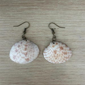 May include: A pair of seashell earrings. Each earring features a small, white and tan speckled seashell suspended from a bronze-colored fish hook ear wire. The earrings are displayed on a light brown wooden surface.