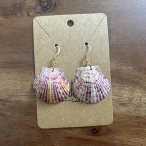 May include: A pair of dangle earrings featuring natural scallop shells with variegated purple, pink, and yellow stripes. The shells are attached to gold-toned metal fishhook ear wires and are displayed on a rectangular brown cardboard jewelry card.