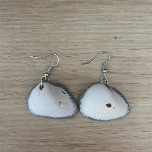 May include: A pair of seashell earrings. Each earring features a white shell with a gray border and a silver-colored fish hook. The shells have natural textures and small holes.