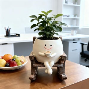 May include: A white ceramic planter shaped like a round character with a smiling face, holding a small cup, and sitting on a brown wooden rocking chair. The planter contains a green leafy plant with multiple stems and oval-shaped leaves.