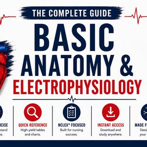 Op de afbeelding: Een studiegids getiteld THE COMPLETE GUIDE BASIC ANATOMY & ELECTROPHYSIOLOGY met een rood en blauwe anatomische hartillustratie, een icoon voor een studiegids met hoog rendement en vijf ronde iconen met tekst over duidelijke uitleg, snelle naslag, NCLEX-focus, directe toegang en ontwerp voor verpleegkundigen.