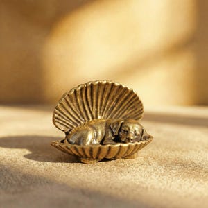 May include: A small, bronze-colored sculpture of a sleeping puppy nestled in a seashell. The seashell has a detailed, fan-like design. The puppy is lying down, appearing peaceful. The sculpture is on a neutral-toned surface.