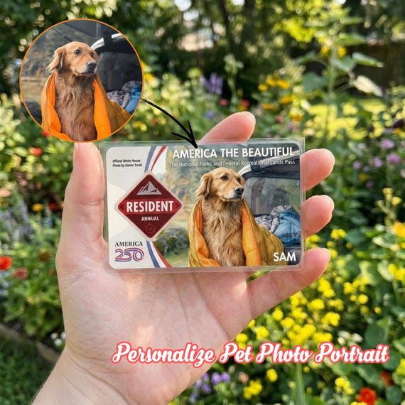 parks card sleeves America the Beautiful National Pass Sleeve Recollection Project Want a customer picture Clear Plastic Sleeve for National