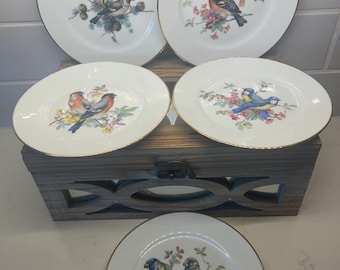 5 platos de porcelana Kuba antiguos con diseño de pájaros