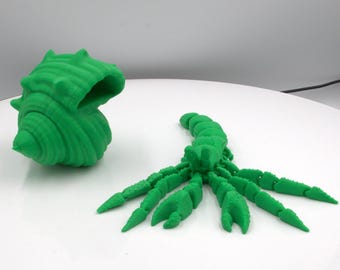 Articulated Flexi Hermit Crab Fidget Toy – 3D Printed Desk Companion, Sensory Play Tool