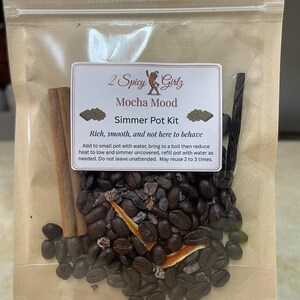 Mocha Mood Simmer Pot | Natural Cozy Home Scent | Coffee Lover Gift