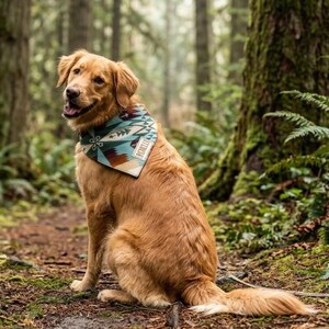 Cadeau personnalisé pour chien ou chat, bandana brodé personnalisé pour chiot, fait main avec de la laine Pendleton, écharpe Kitty, style PNW, bohème, petit et grand