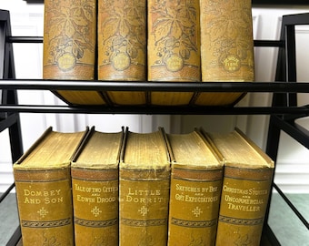 Libros de Charles Dickens: Nueve volúmenes victorianos en tapa dura, circa 1880.