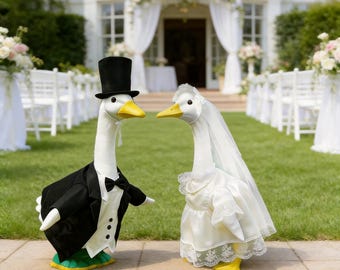 Ensemble voile et robe de mariée Porch Goose – Décoration de fête nuptiale