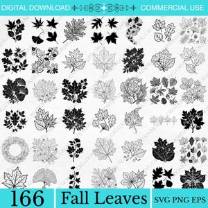 May include: A digital collection of 166 black and white leaf illustrations featuring various botanical shapes, including maple, oak, and ginkgo leaves in both solid silhouette and detailed line art styles, arranged in a grid for design projects.