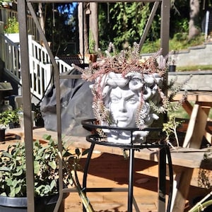 May include: A light gray Medusa-themed planter featuring a sculpted face with snakes for hair. The planter is filled with a bushy, reddish-brown and green plant and is positioned on a black metal plant stand with a circular top and four legs.