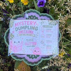 May include: A "Mystery Dumpling Set" package with the text "Mystery Dumpling Set" and "What will you get?" The package includes a straw topper, clicker, tab opener, and keychain. The package is surrounded by flowers.