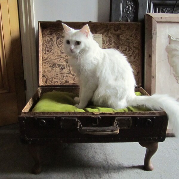 Vintage Suitcase Pet Bed