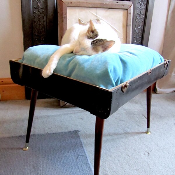 Vintage Suitcase Pet Bed