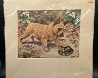 Walter A Weber Norwich Terrier Print in mat