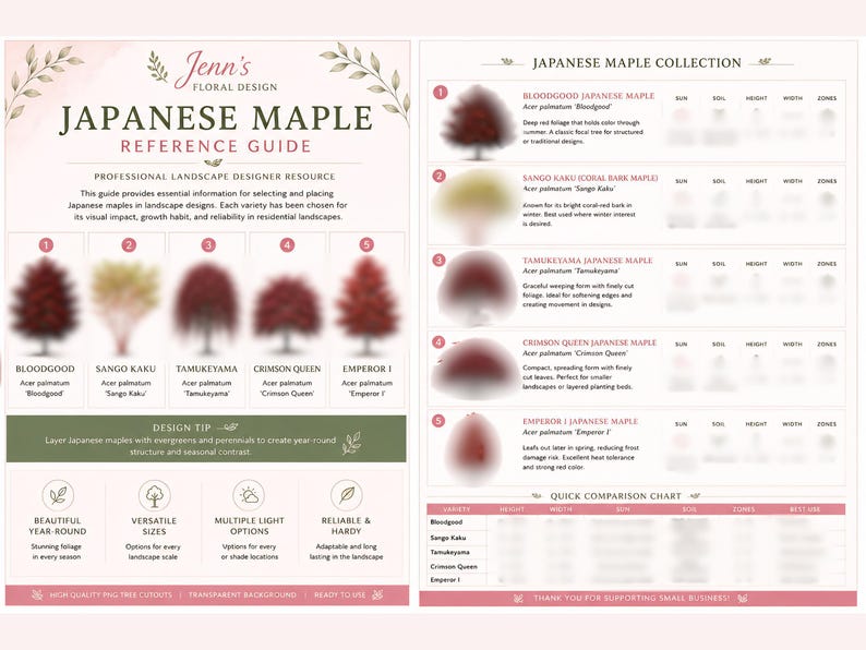 Top Japanese Maple Varieties PNG Pack (acer Palmatum) - Etsy
