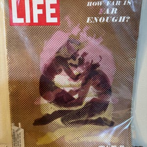 Vintage Life Magazine April 4, 1969