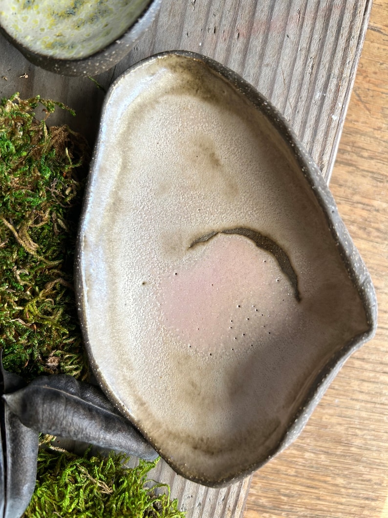 Plato de joyería junto al mar de cerámica Quahog Abalone