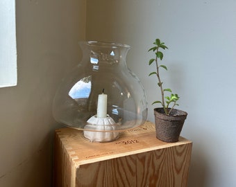 Terrarium Vintage Glass Hurricane Shade 7”  Tall