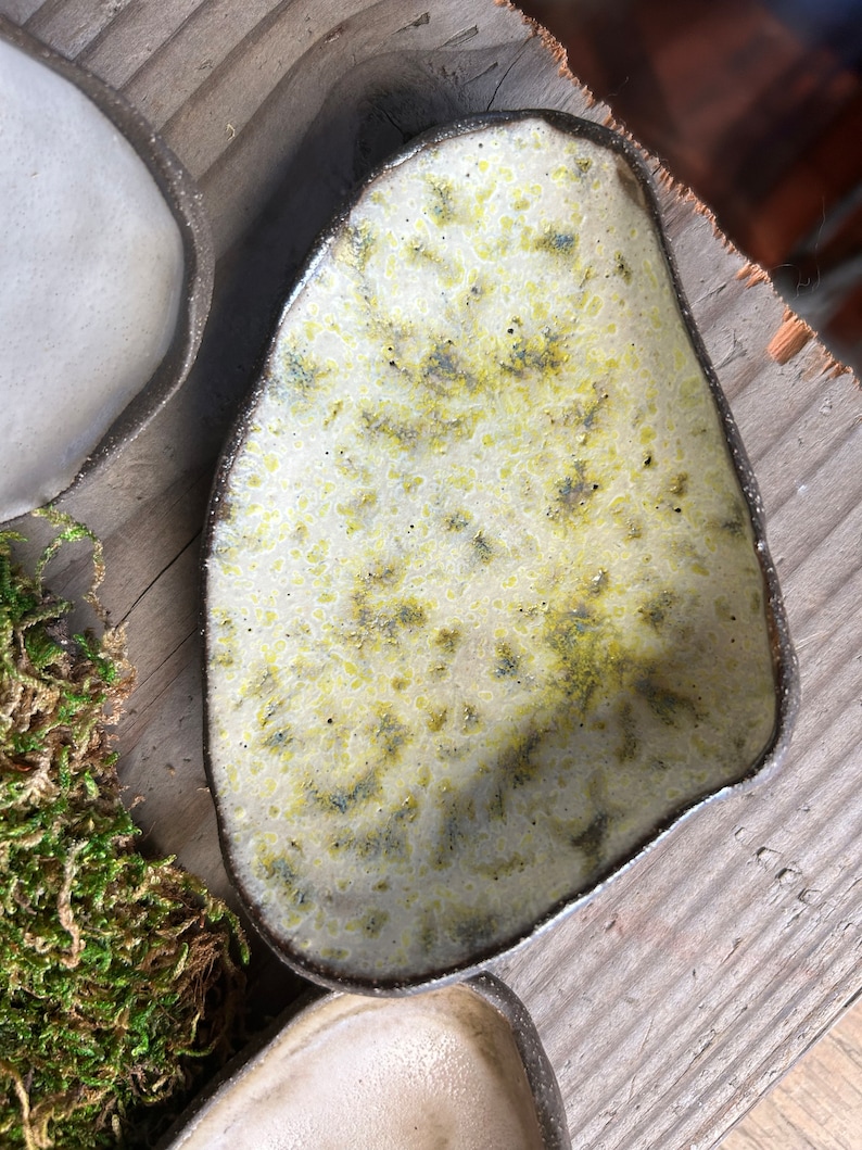 Plato de joyería junto al mar de cerámica Quahog Salt