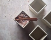 SHIP NOW! Simple Ceramic Monochrome Salt Cellar with Hand Carved Spoon from West Virginia