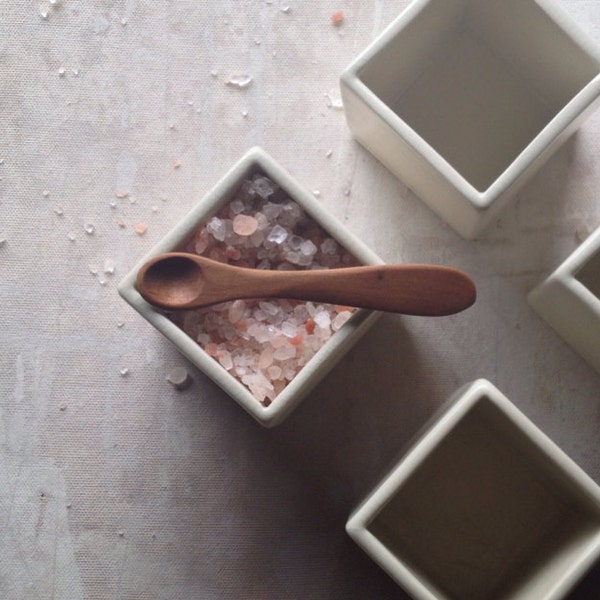 SHIP NOW! Simple Ceramic Monochrome Salt Cellar with Hand Carved Spoon from West Virginia