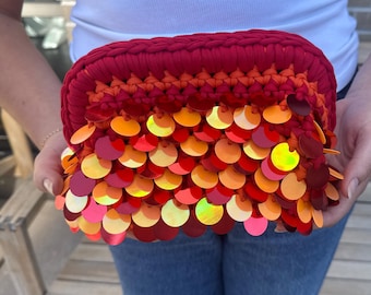 Sequin Crochet Clutch- Double Striped