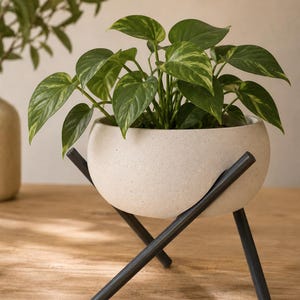 May include: A cream-colored, round planter pot with a speckled texture, holding a green plant with variegated leaves. The pot is supported by a black metal stand with three legs. The plant pot is a decorative item for home decor.