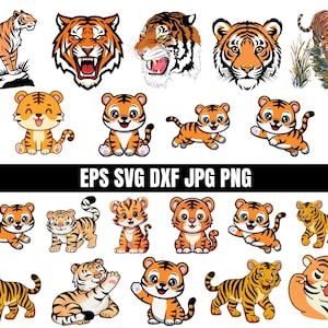 Könnte beinhalten: Eine Sammlung von Tiger-Illustrationen in verschiedenen Posen, darunter realistische Tiger, brüllende Tigerköpfe und Tigerbabys im Cartoon-Stil. Der Text EPS SVG DXF JPG PNG ist in der Mitte zu sehen. Die Tiger sind orange mit schwarzen Streifen.