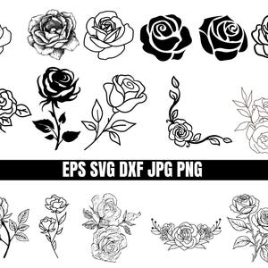 Può includere: Una collezione di illustrazioni di rose in bianco e nero con vari stili di fiori, steli con foglie e composizioni floreali. Il testo EPS SVG DXF JPG PNG è centrato orizzontalmente. Questi design grafici includono disegni a linee e sagome.