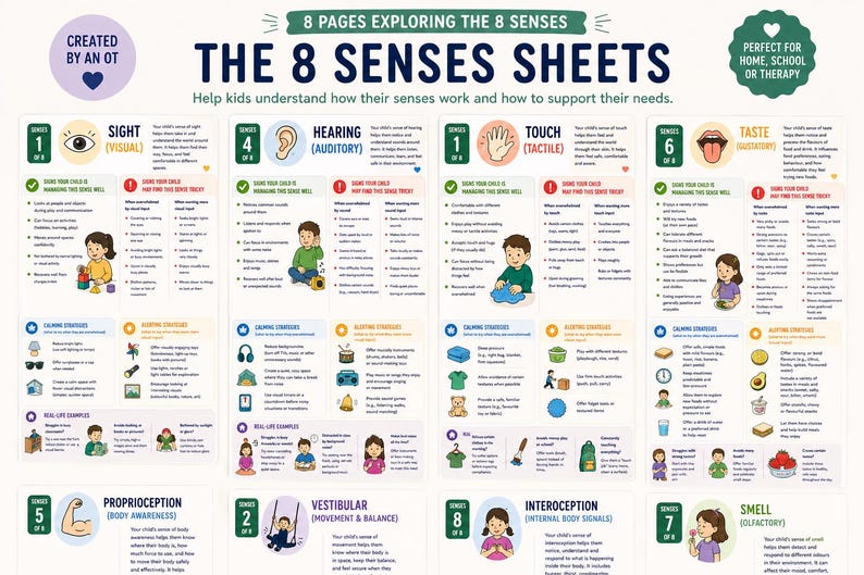 May include: A colorful educational poster titled "The 8 Senses Sheets" with information on sight, hearing, touch, taste, proprioception, vestibular, interoception, and smell. The poster includes text and illustrations to help kids understand their senses.