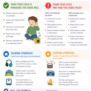 May include: Educational infographic about hearing (auditory) senses in children. It includes signs of managing the sense well, signs of difficulty, calming and alerting strategies, and real-life examples. The image features illustrations and text.