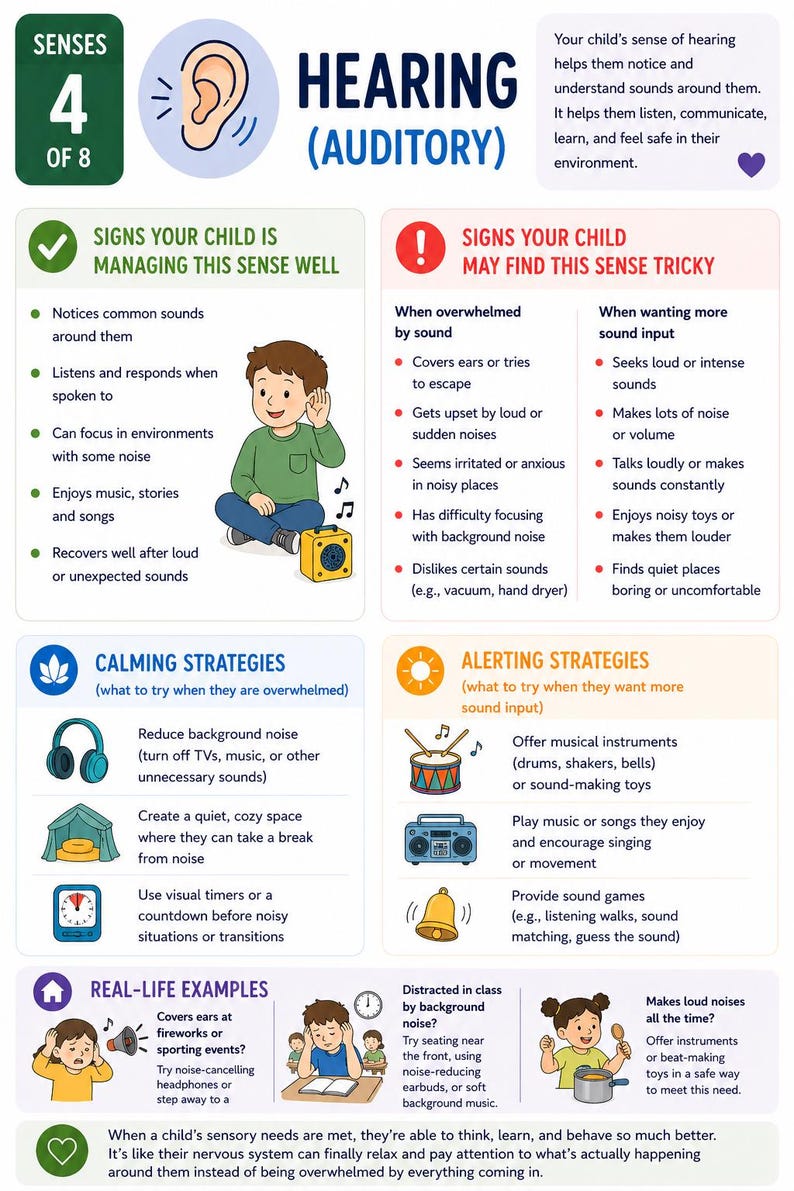 May include: Educational infographic about hearing (auditory) senses in children. It includes signs of managing the sense well, signs of difficulty, calming and alerting strategies, and real-life examples. The image features illustrations and text.