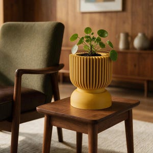 Peut inclure: Un pot de fleurs jaune moutarde avec une section supérieure cylindrique et nervurée et une base lisse et arrondie. Le pot contient une plante Pilea peperomioides verte aux feuilles rondes en forme de pièce, posée sur une petite table.