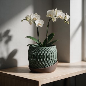 Può includere: Un'orchidea Phalaenopsis bianca con molteplici fiori e foglie verdi piantata in un vaso sferico color verde salvia con motivo a reticolo, posizionato all'interno di un sottovaso circolare liscio marrone scuro su una superficie.
