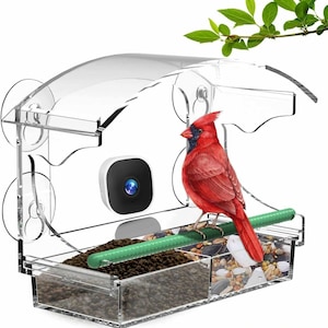 May include: A clear acrylic bird feeder with a protective roof and a small camera. A vibrant red cardinal perches on a green perch, with a mix of seeds visible inside. The feeder attaches to a window with suction cups.