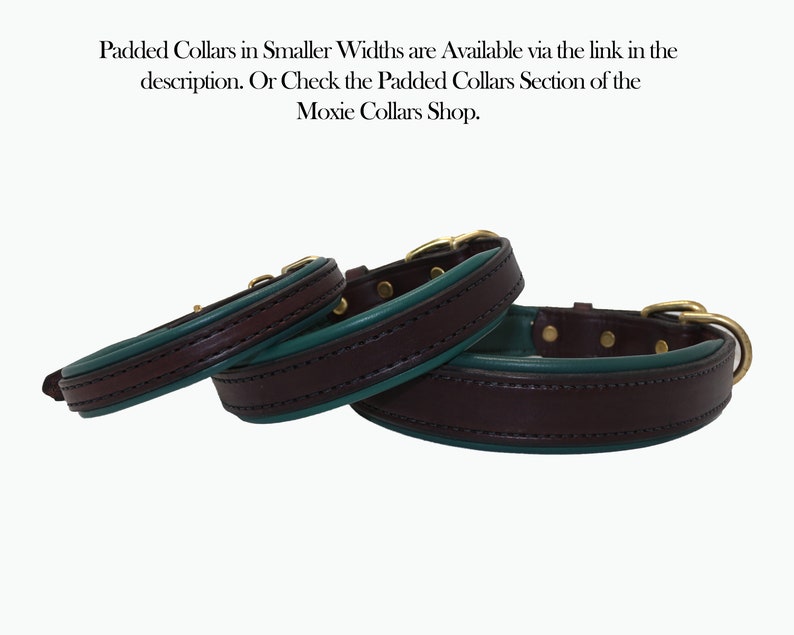 Wide Leather Dog Collar with Name Plate / Personalized Dog Etsy