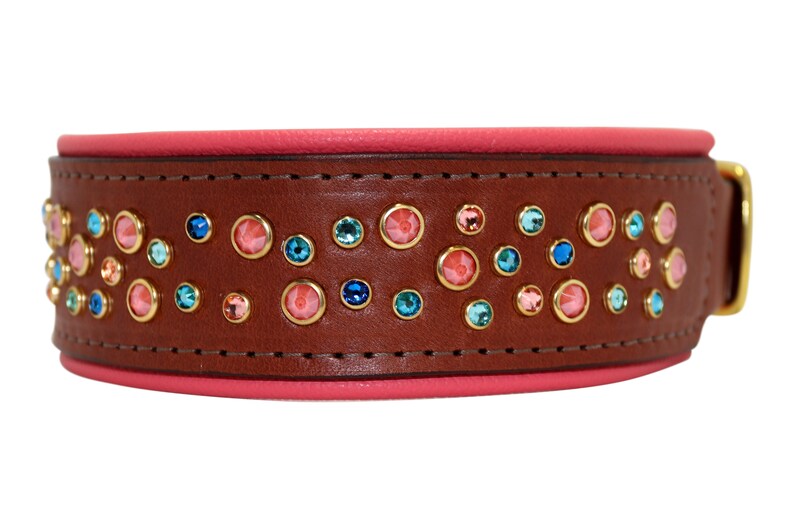 LIVING CORAL Padded Leather Dog Collar / Coral Dog Collar with Etsy