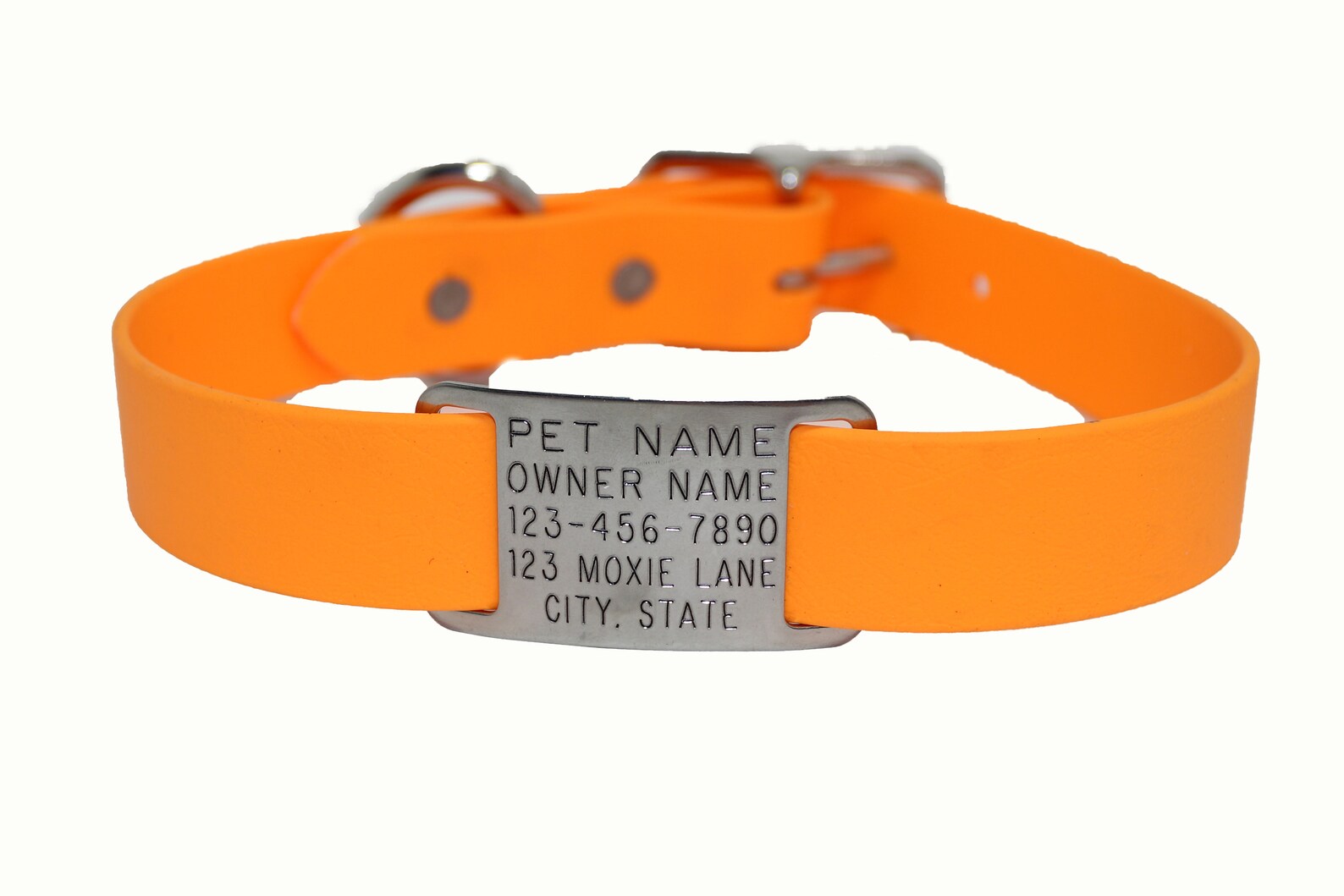 Dog Name Tag / Dog Collar Tag Addon / Slide on Nameplate / Etsy