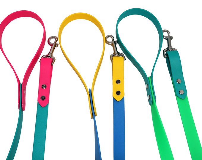 Two Tone Dog Leash / Colorful Custom Dog Leash / Biothane Dog Etsy