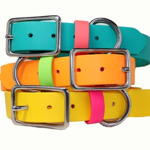 Waterproof Dog Collar with Two-Tone Color Options / Custom Dog Collar / Metal Buckle Dog Collar / Biothane dog Collar/ Moxie Collars /