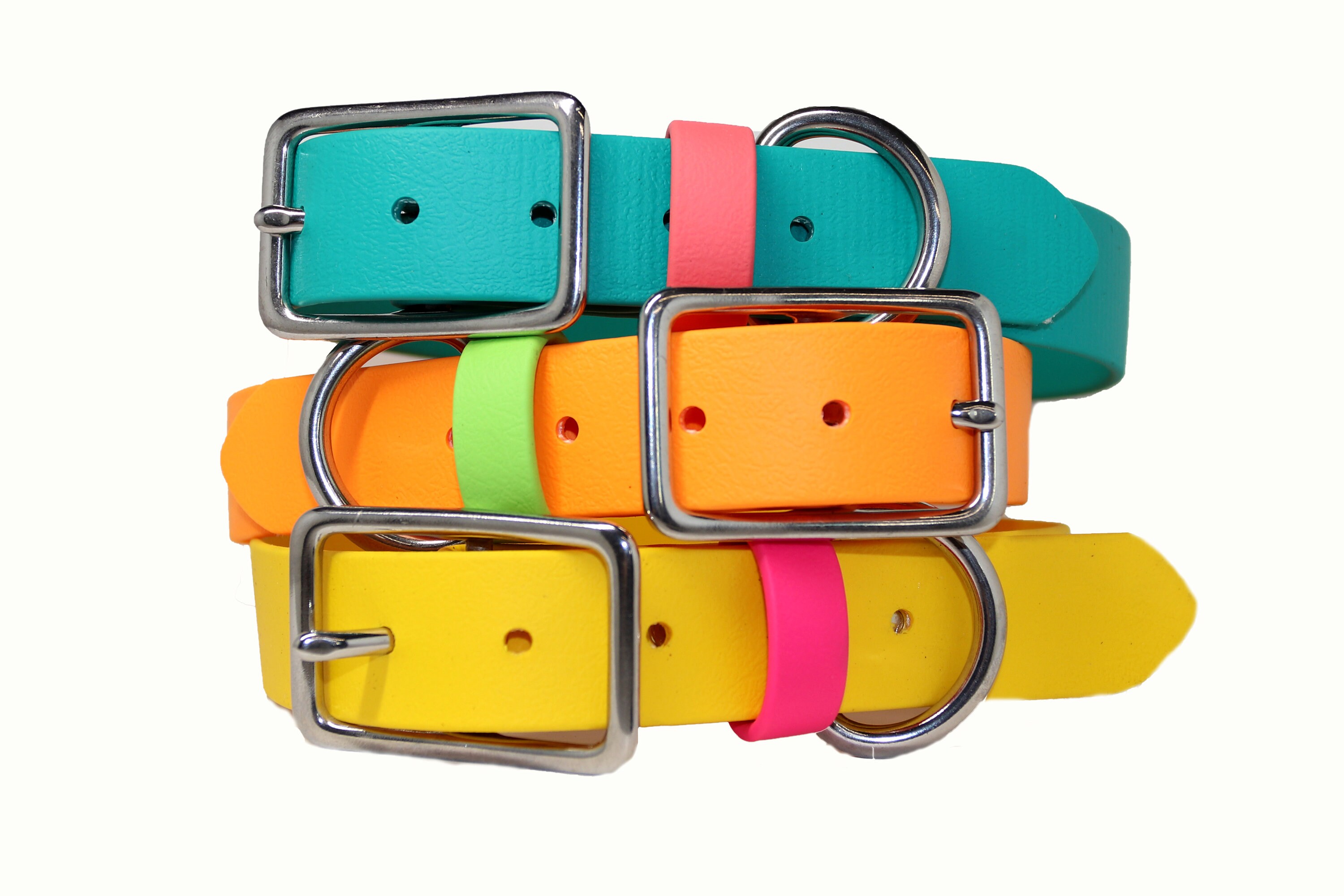 custom biothane collar